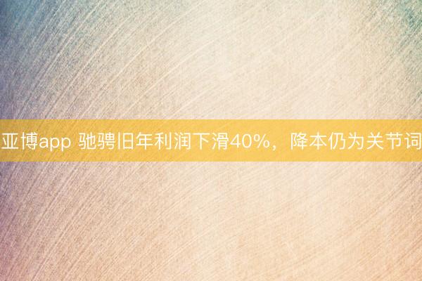 亚博app 驰骋旧年利润下滑40%，降本仍为关节词