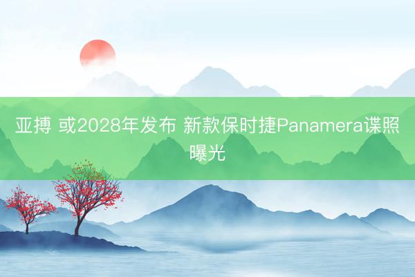 亚搏 或2028年发布 新款保时捷Panamera谍照曝光