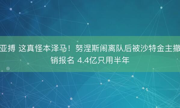 亚搏 这真怪本泽马!努涅斯闹离队后被沙特金主撤销报名 4.4亿只用半年