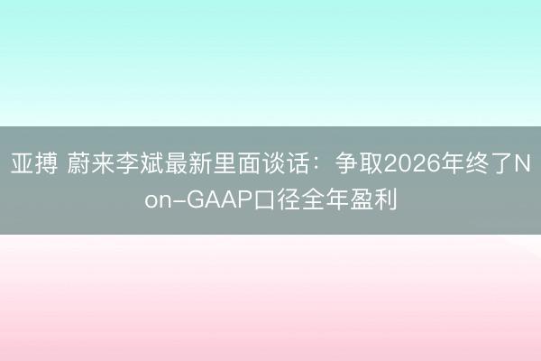 亚搏 蔚来李斌最新里面谈话:争取2026年终了Non-GAAP口径全年盈利