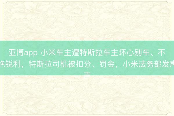 亚博app 小米车主遭特斯拉车主坏心别车、不绝锐利,特斯拉司机被扣分、罚金,小米法务部发声