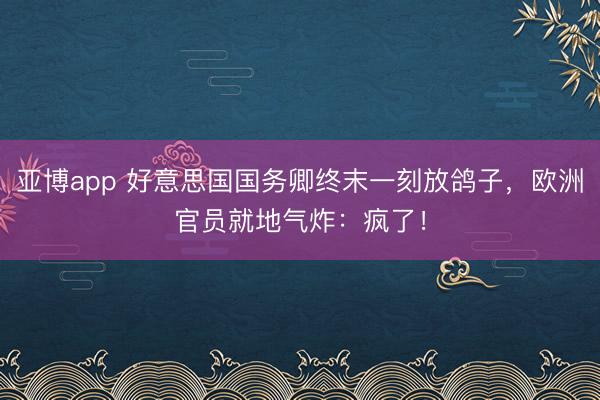 亚博app 好意思国国务卿终末一刻放鸽子，欧洲官员就地气炸：疯了！