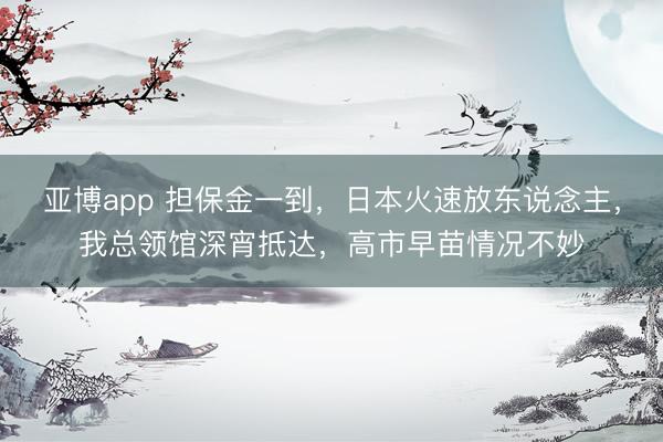 亚博app 担保金一到,日本火速放东说念主,我总领馆深宵抵达,高市早苗情况不妙