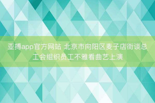 亚搏app官方网站 北京市向阳区麦子店街谈总工会组织员工不雅看曲艺上演