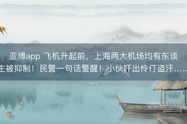 亚博app 飞机升起前，上海两大机场均有东谈主被抑制！民警一句话警醒！小伙吓出伶仃盗汗……