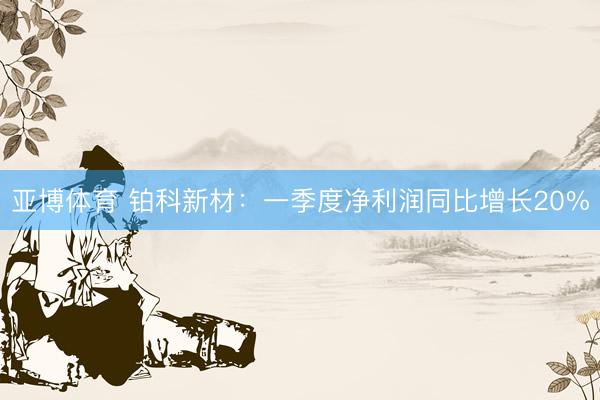 亚博体育 铂科新材：一季度净利润同比增长20%