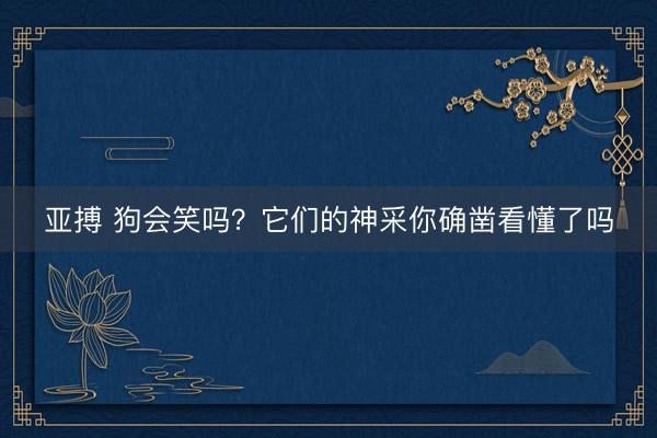亚搏 狗会笑吗？它们的神采你确凿看懂了吗