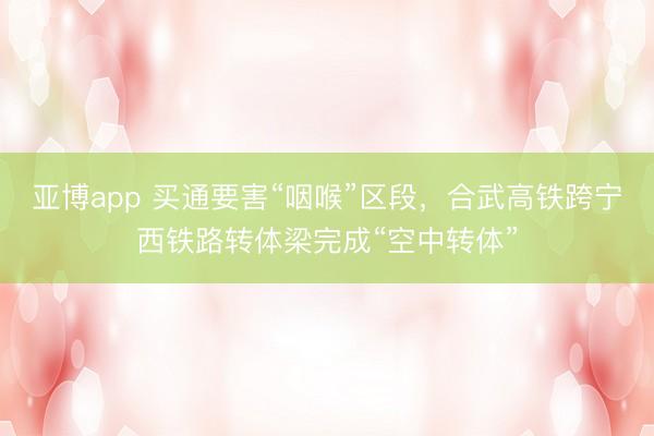 亚博app 买通要害“咽喉”区段，合武高铁跨宁西铁路转体梁完成“空中转体”