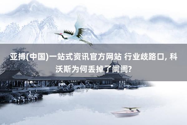 亚搏(中国)一站式资讯官方网站 行业歧路口, 科沃斯为何丢掉了阛阓?