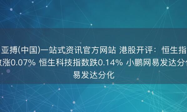 亚搏(中国)一站式资讯官方网站 港股开评:恒生指数涨0.07% 恒生科技指数跌0.14% 小鹏网易发达分化