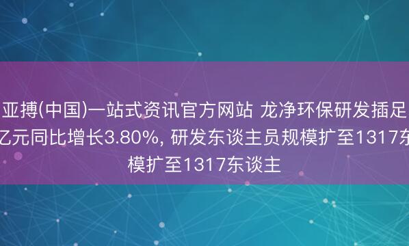 亚搏(中国)一站式资讯官方网站 龙净环保研发插足4.64亿元同比增长3.80%, 研发东谈主员规模扩至1317东谈主